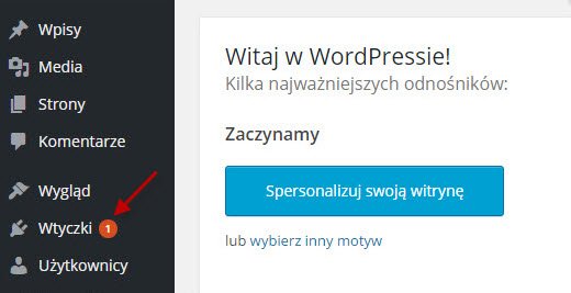 Plik:Wtyczki.jpg