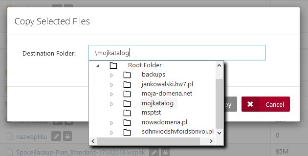 wykorzystanie_menadzera_plikow_12.png
